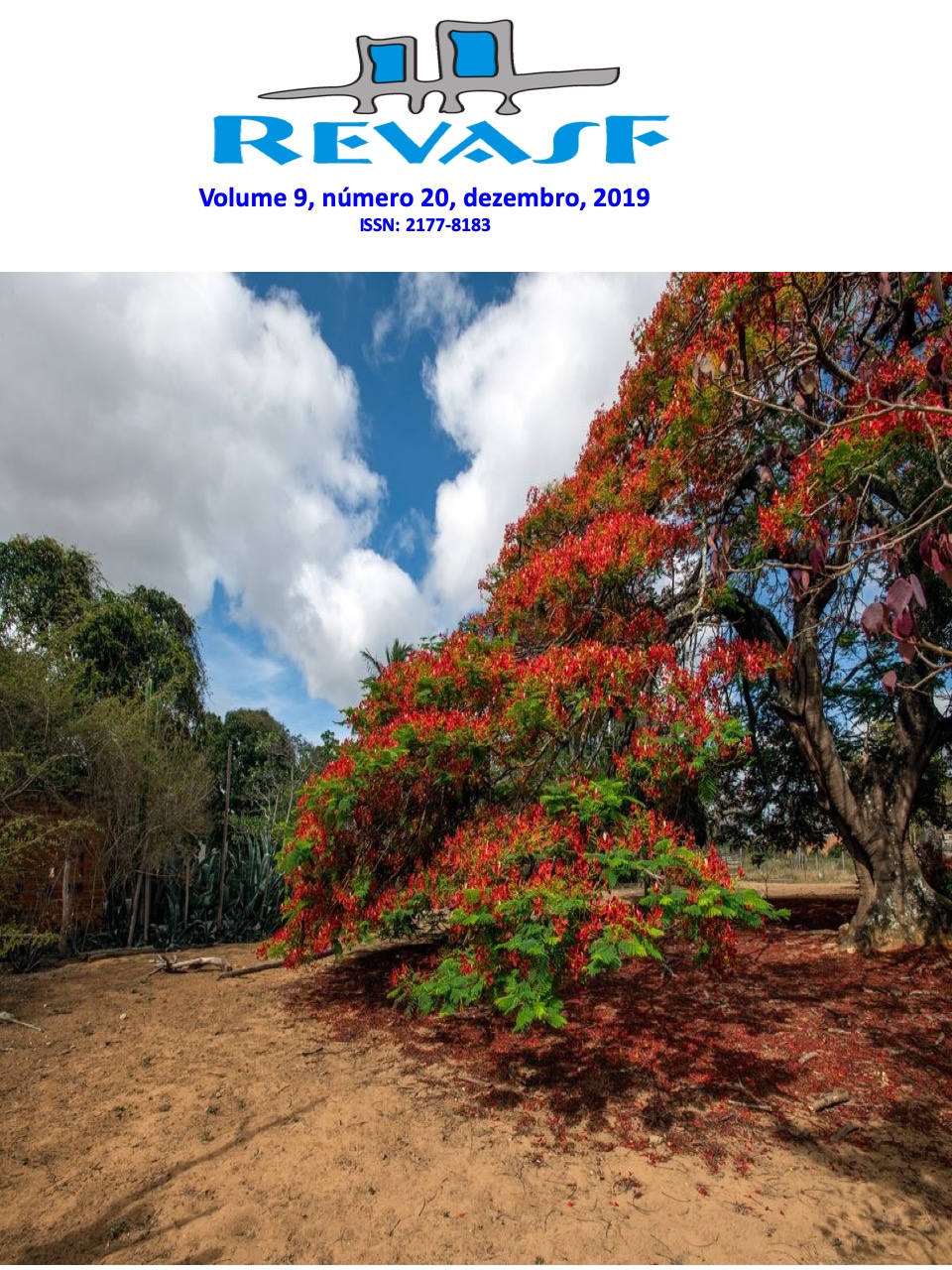 Visualizar v. 9 n. 20 (2019)